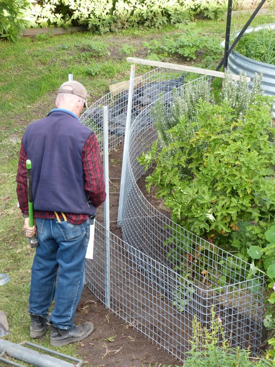 Забор для клумбы из сетки