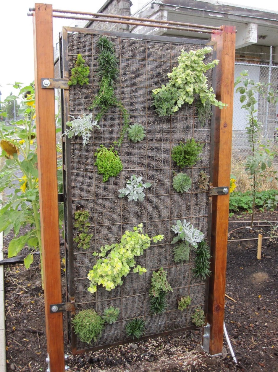 Габионы клумбы