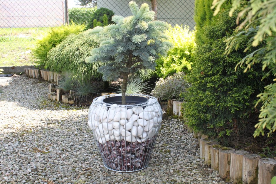 Rockbox габионы