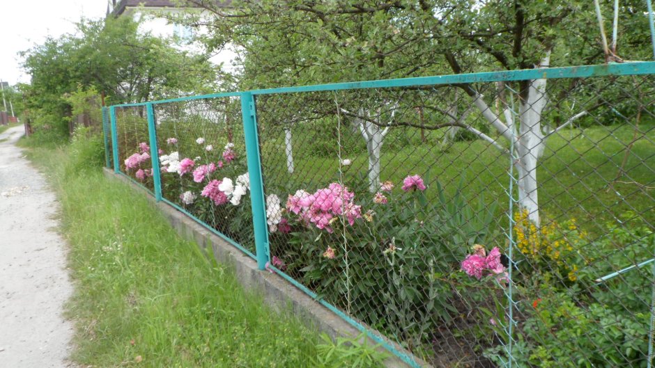 Ограждение огорода от собаки