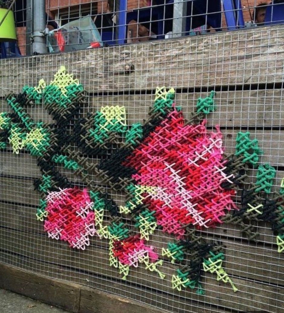 Живая изгородь дикий виноград