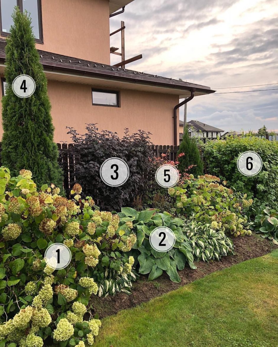 Клумба из зеленой сетки