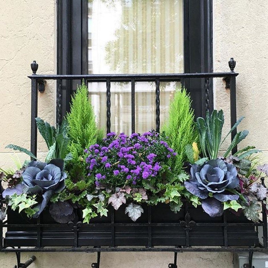 Цветы на балконе