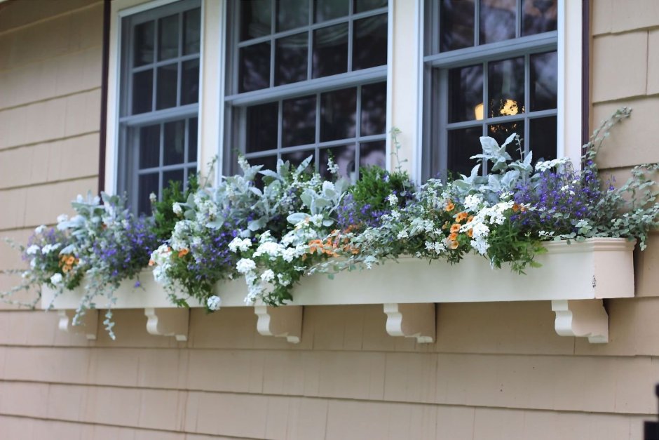 Цветы на балконе