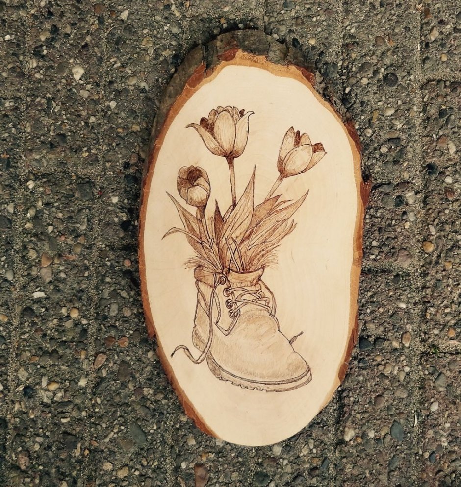 Срез дерева для декора