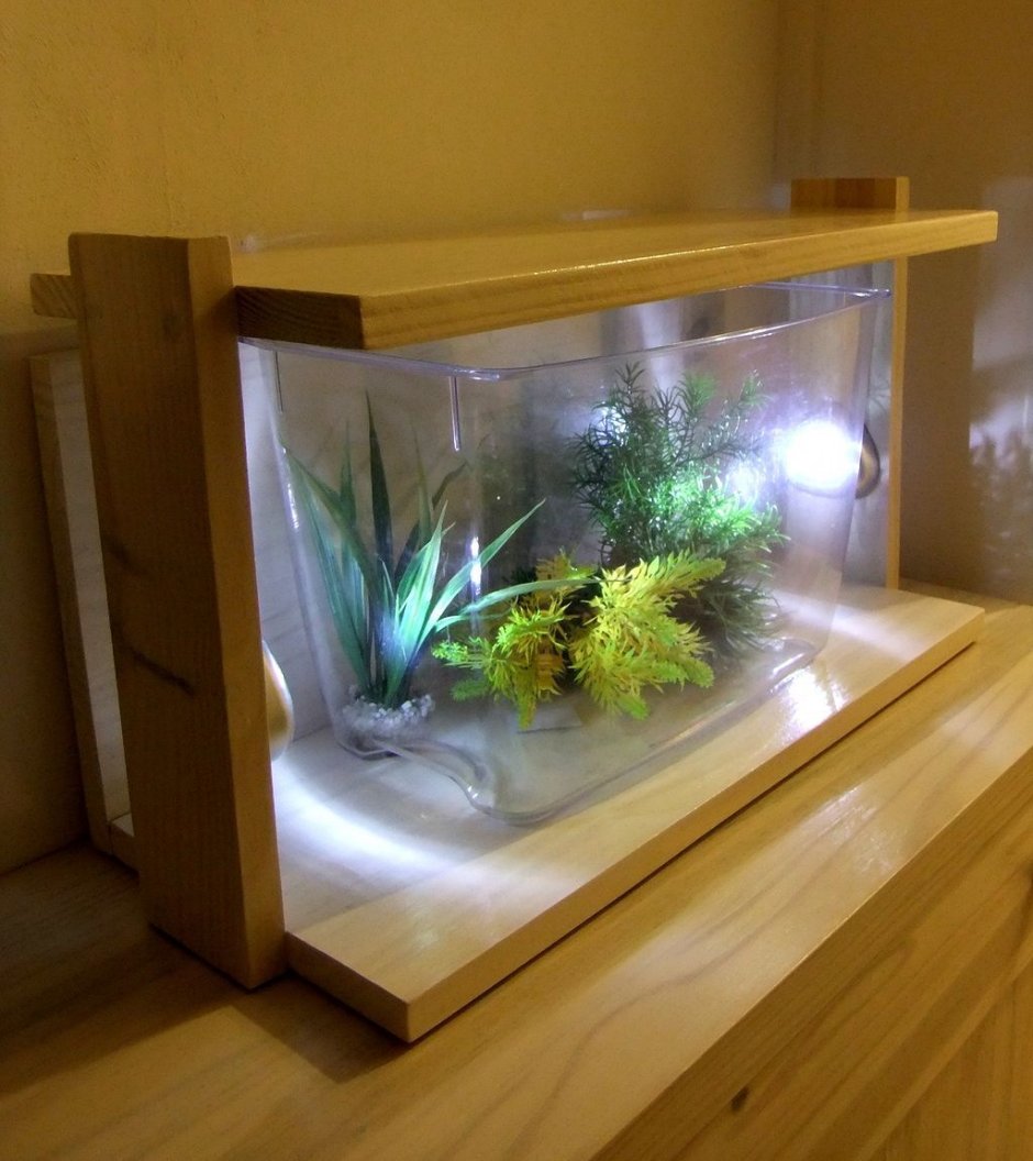 Дизайнерский аквариум