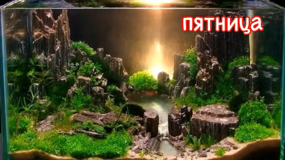 Декор аквариума самые красивые