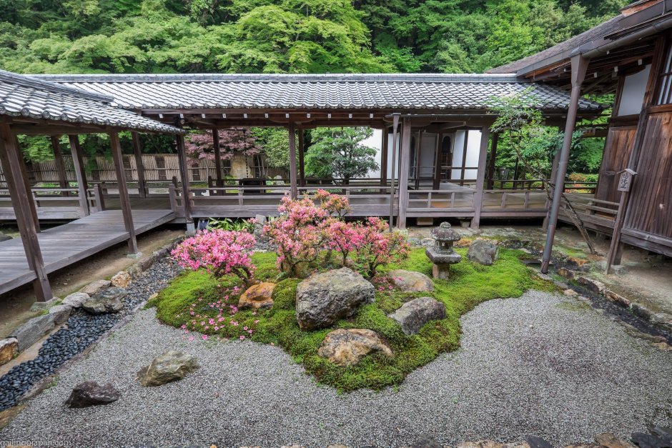 Япония сад дзэн