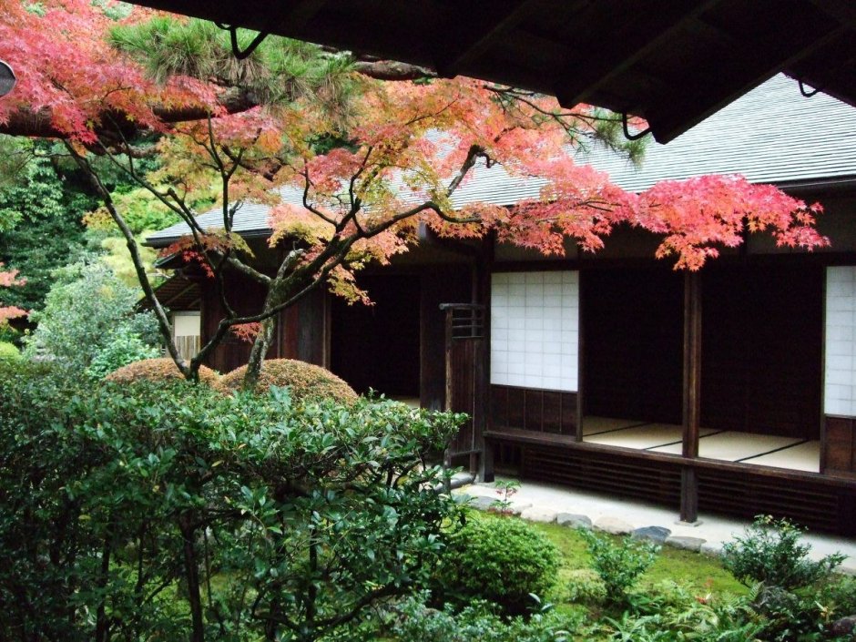 Террасы на участке