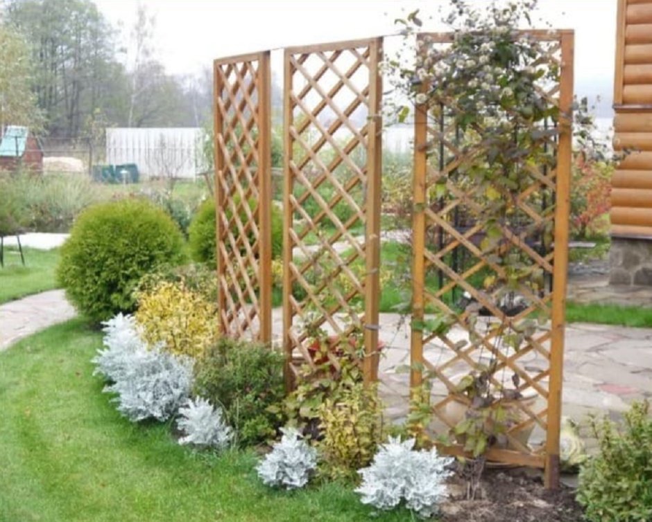 Шпалера Садовая