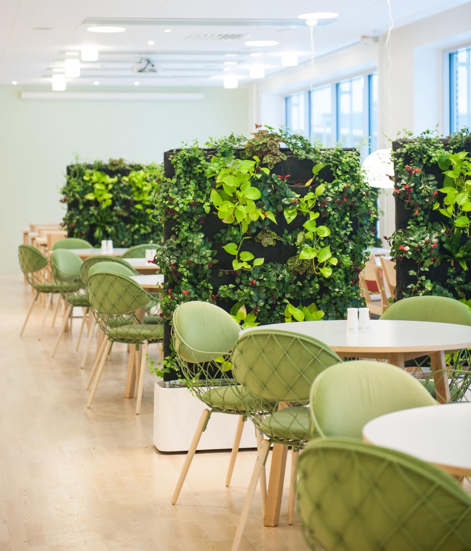 Перегородка с растениями