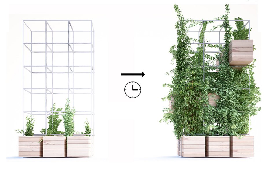 Конструкции для вертикального озеленения