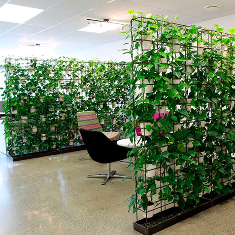 Перегородка с растениями