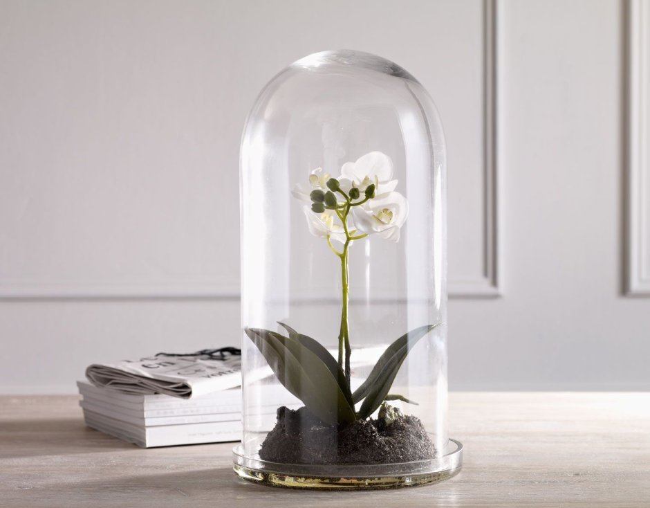 Morgontidig моргонтидиг