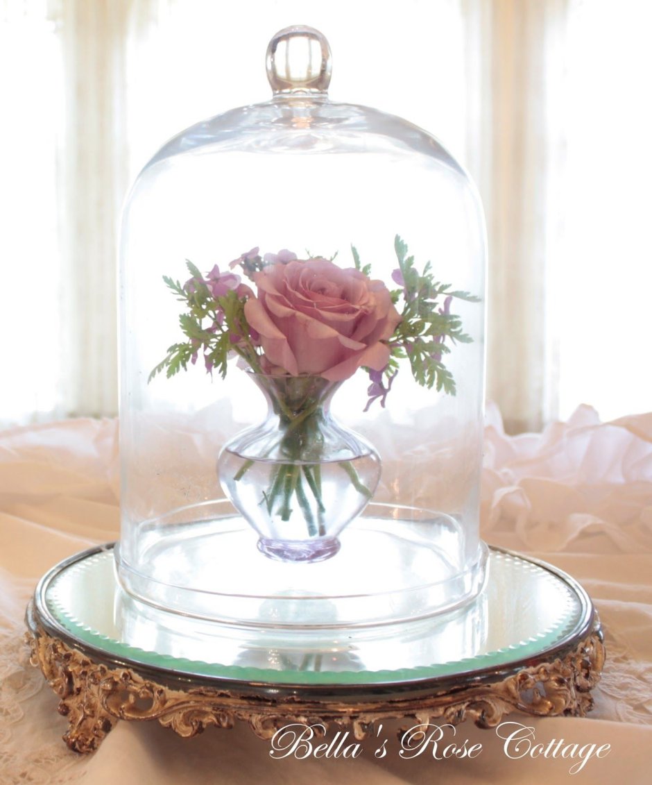 Стеклянный колпак для цветов