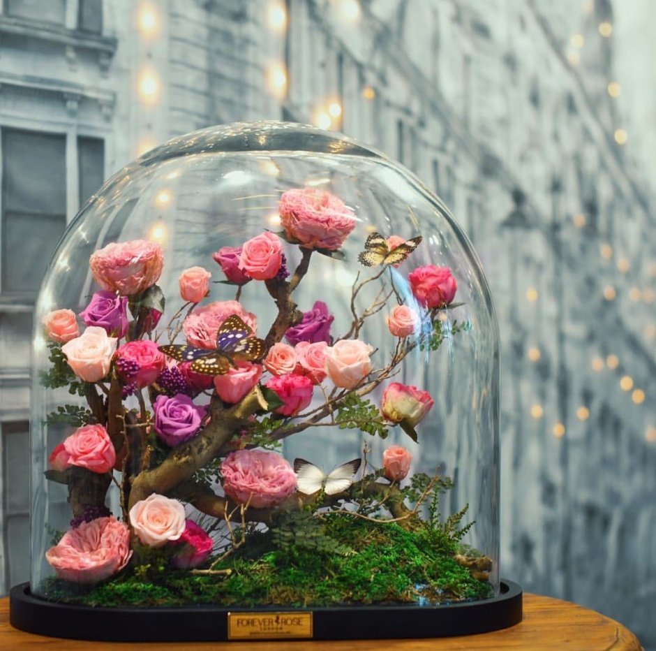 Стеклянный колпак для цветов