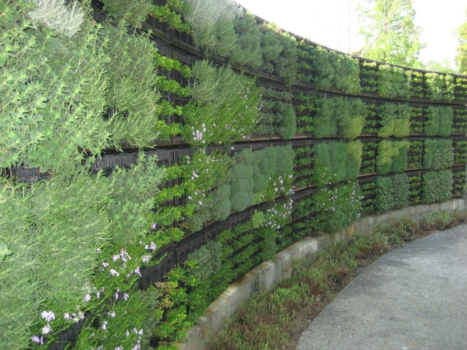 Ограждение из пластиковых ящиков