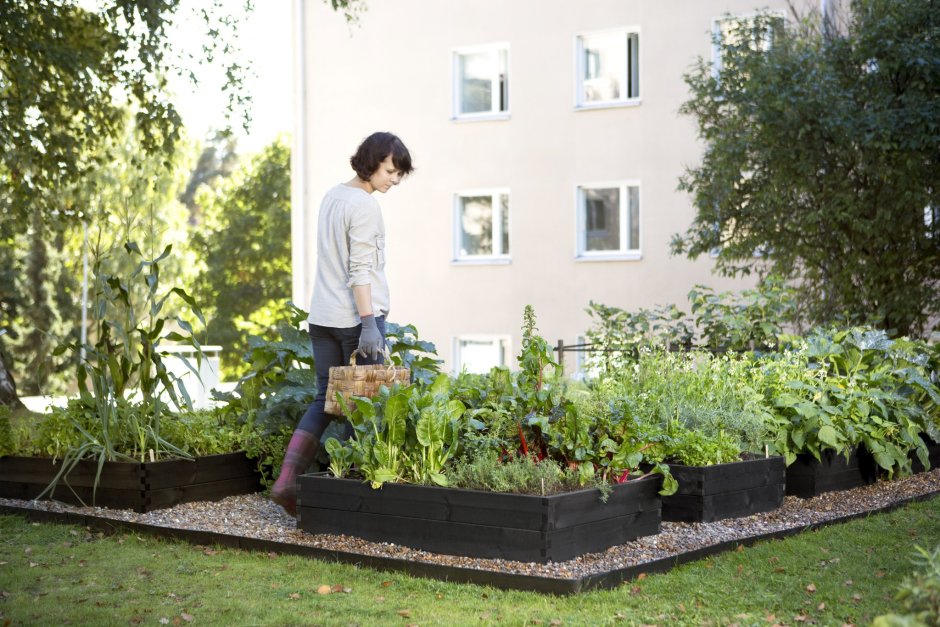 Забор из пластиковых бутылок для сада и огорода