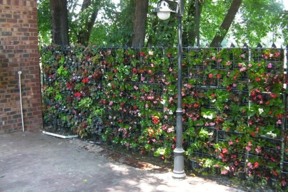 Вертикальные грядки на заборе