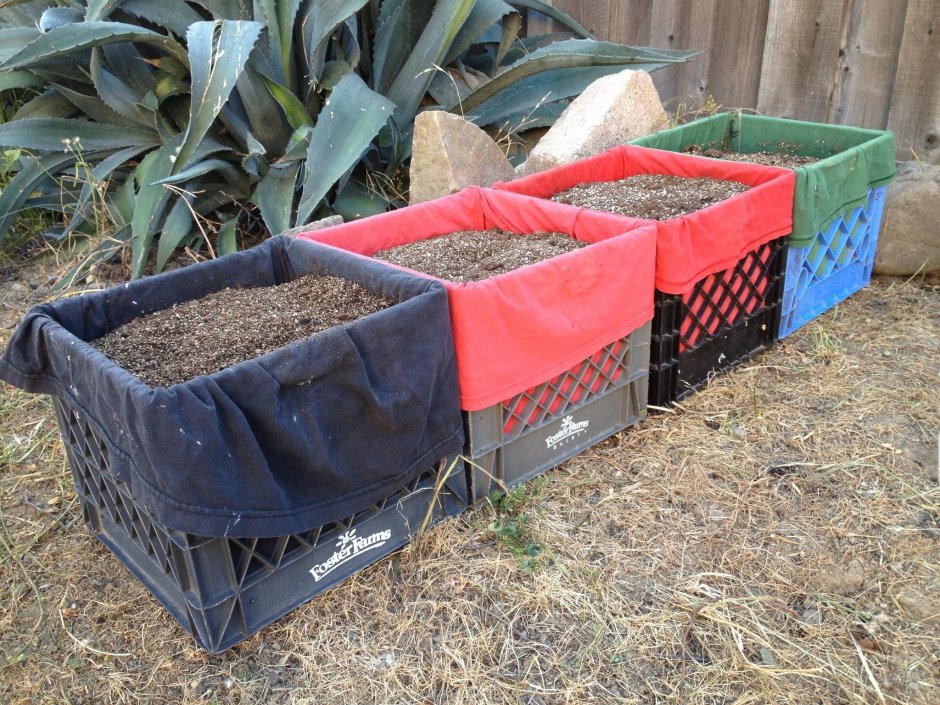 Клубника в пластиковых бутылках