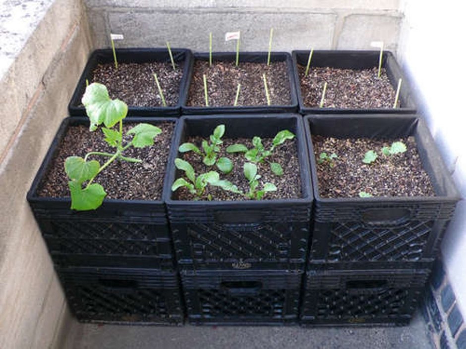 Заборчик из пластиковых ящиков