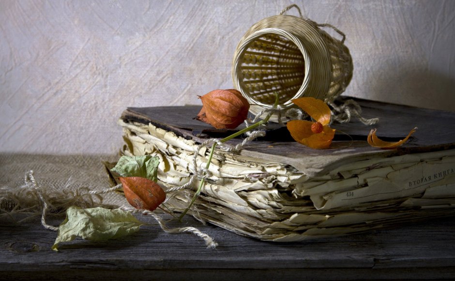 Натюрморт живопись