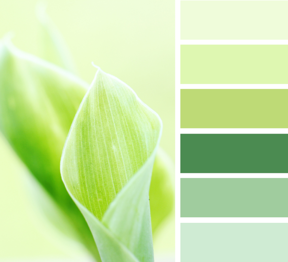 Нюансные оттенки зеленого палитра