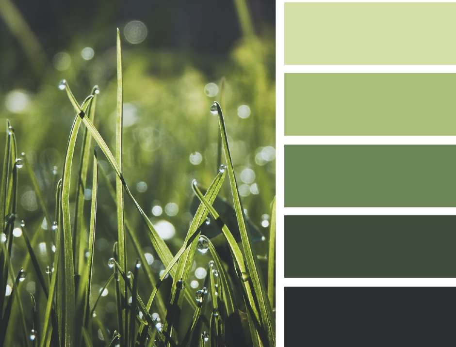 Палитра Сидс холодные зелёные