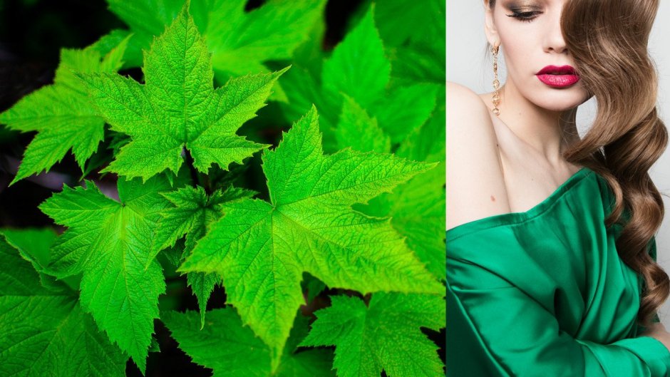 Фотосессии в зеленых оттенках