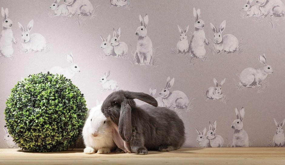 Фотообои в детскую