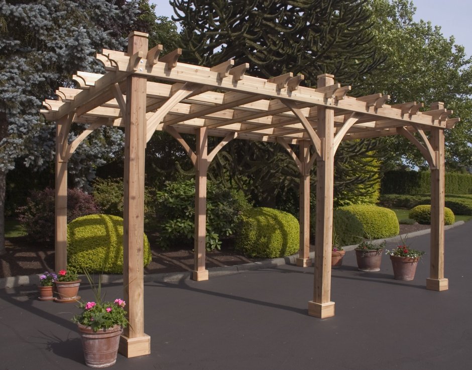 Пергола Розалия Инсайт