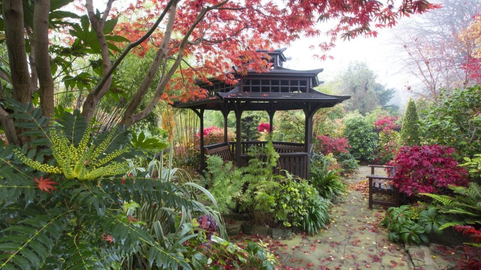 Пергола в японском саду