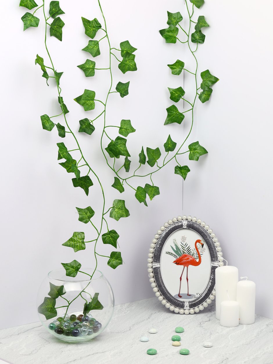 Лиана это Лиана