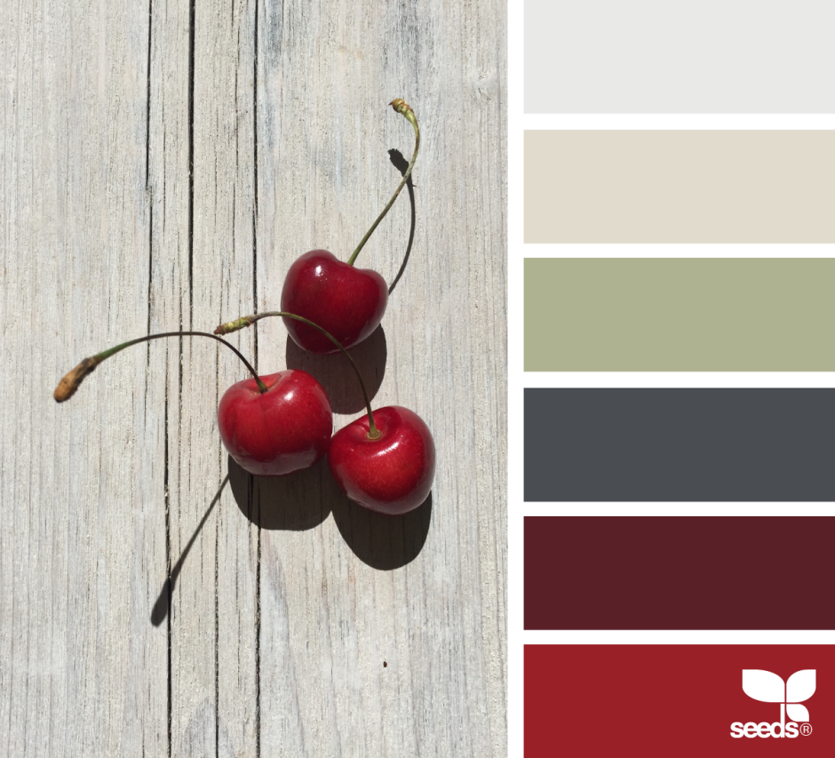 Названия цветов и оттенков