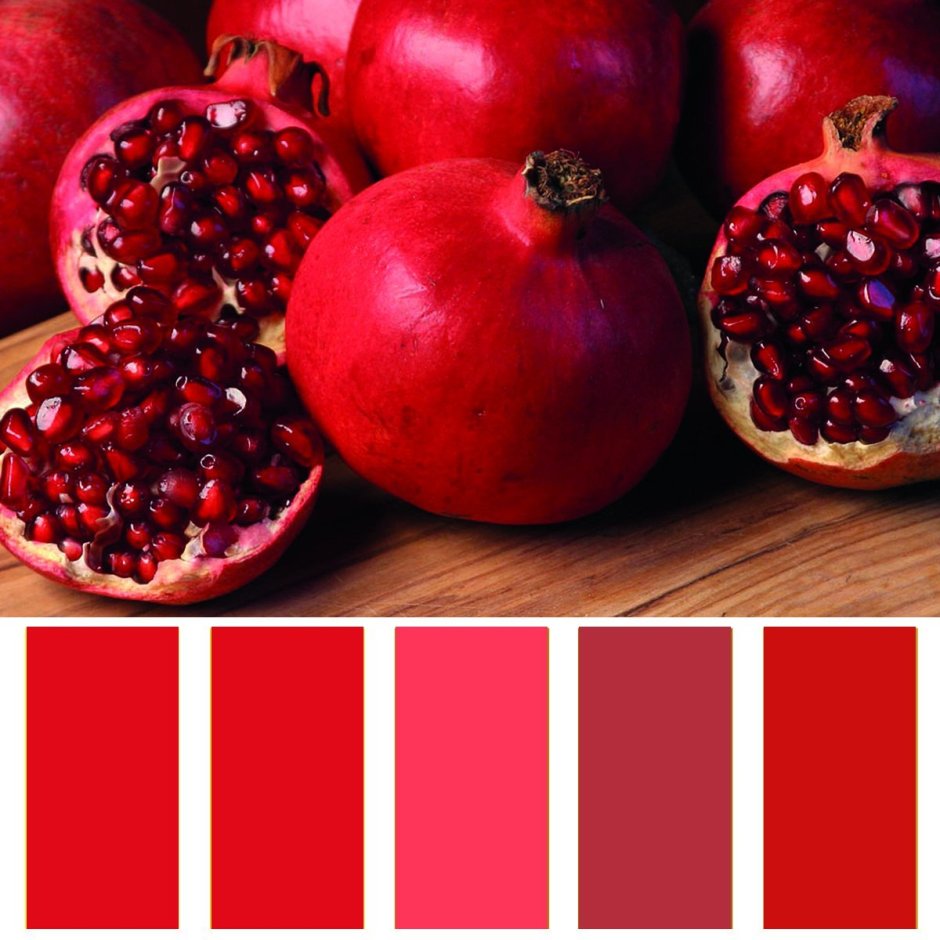 Оттенки бордового цвета названия