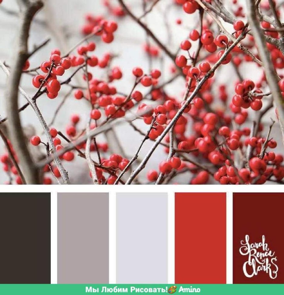 Светло бордовый цвет