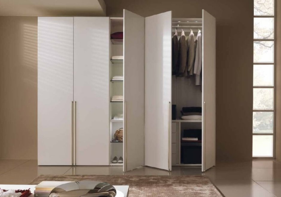 Шкаф в прихожую с распашными дверями