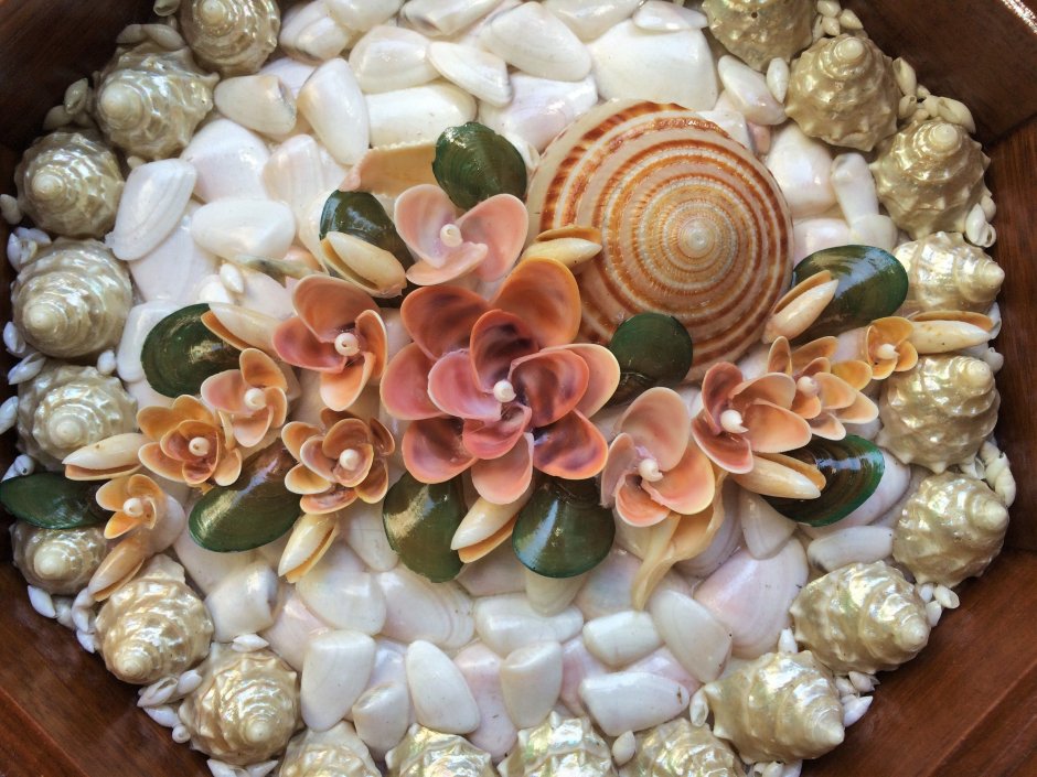 Композиции из ракушек и камней