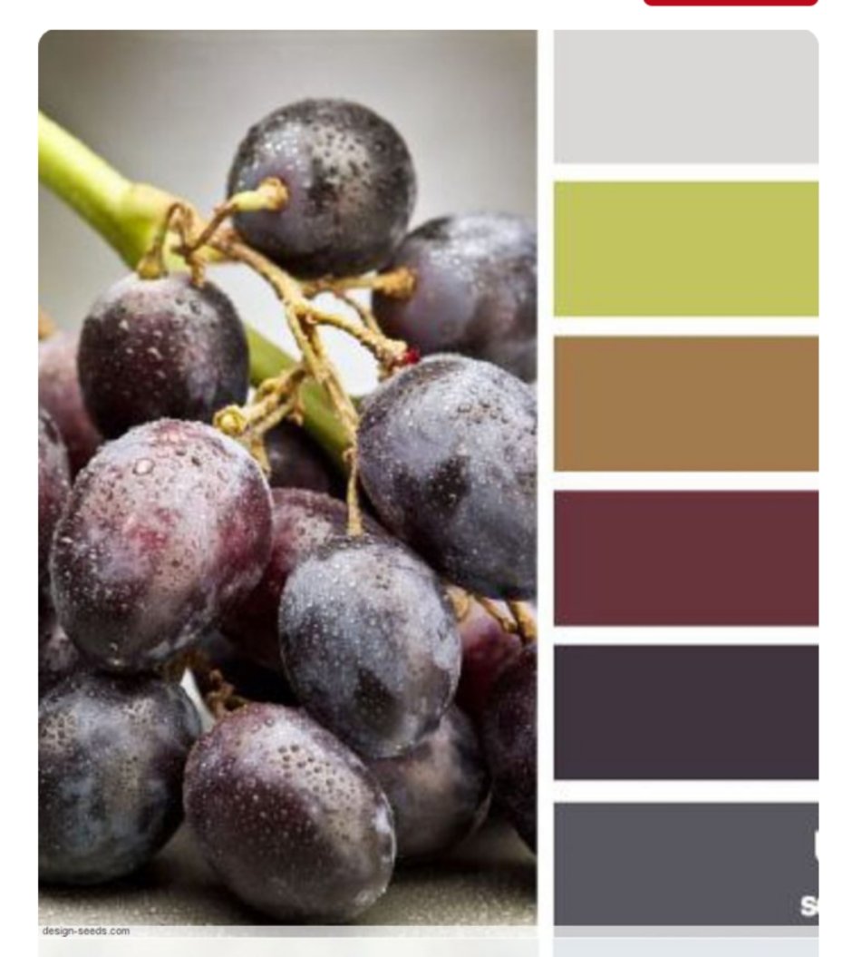 Палитры Сидс с серым