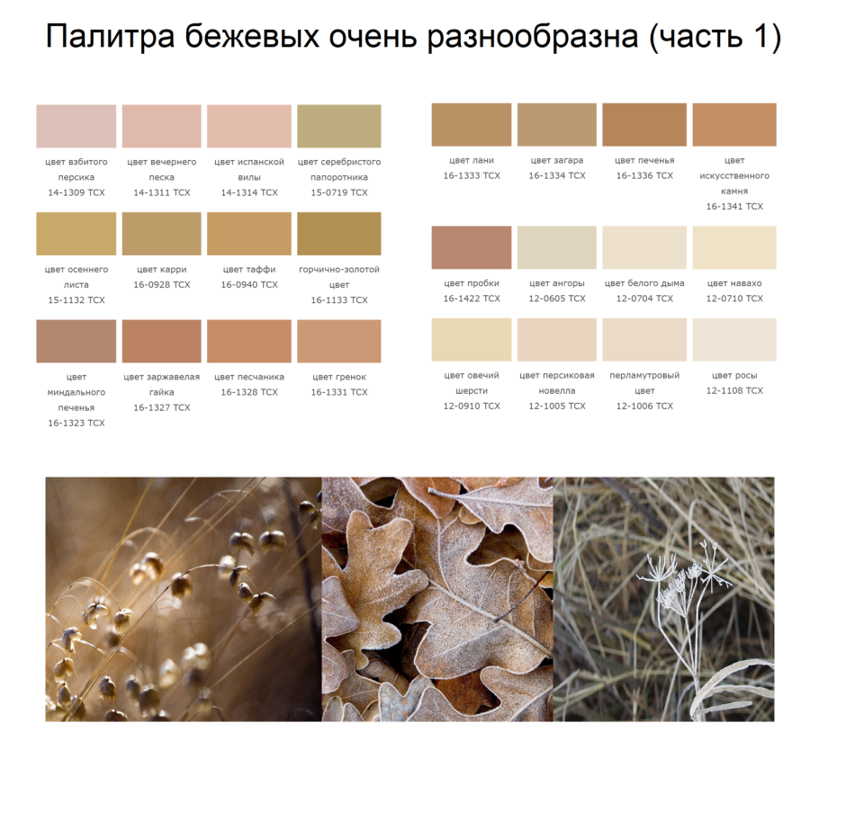 Виноградный цвет палитра