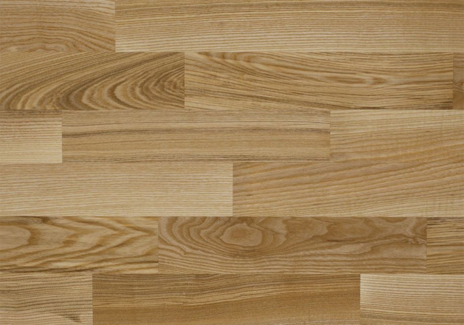 Epl131 дуб Пуната