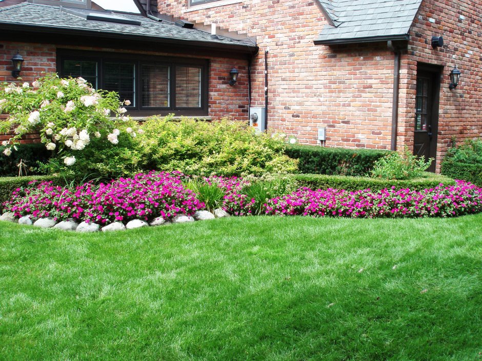 Миксбордер сирень Палибин