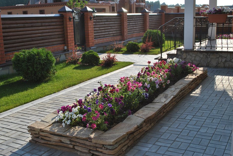 Кустарники вдоль дорожки к дому из России