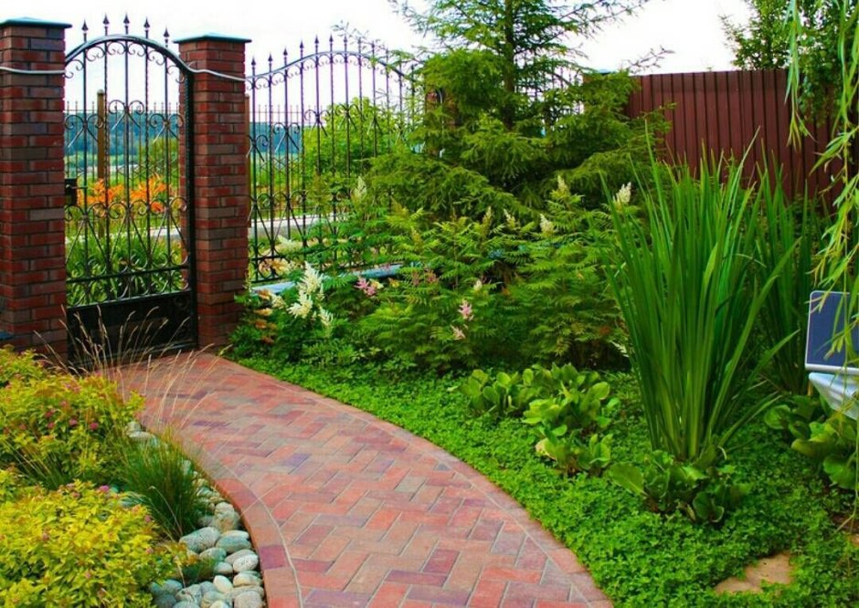 Плетистые розы сады Англии