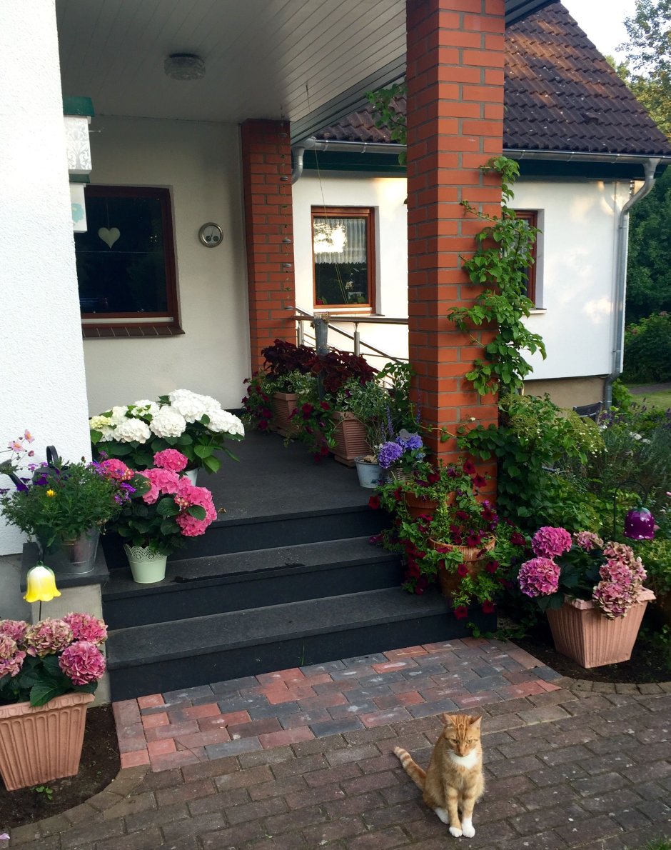 Цветник перед крыльцом