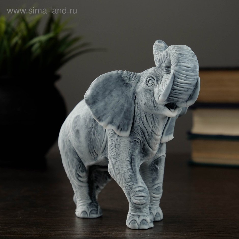 Слон СССР Карелия