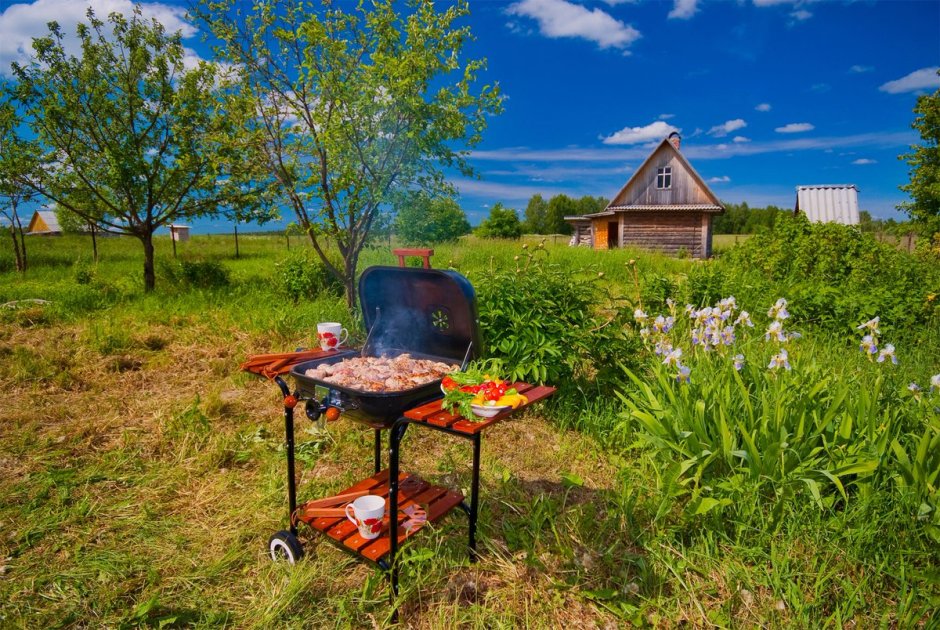 Жаровня Park BBQ-913 (газовая)