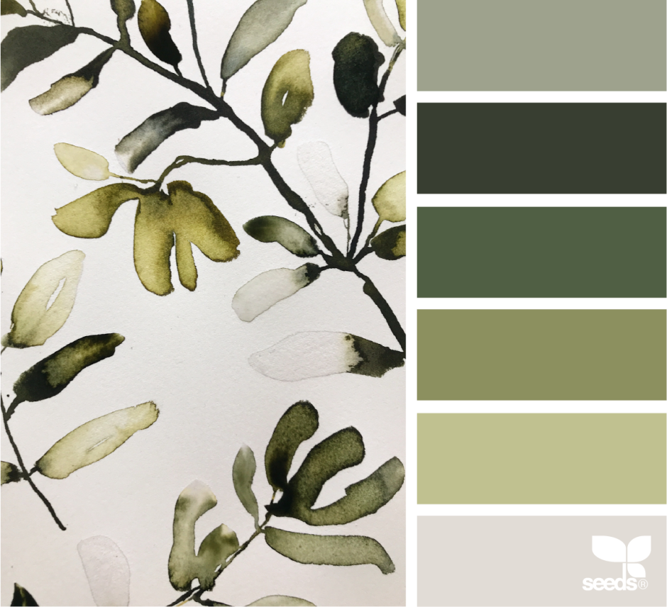 Оливковый палитра