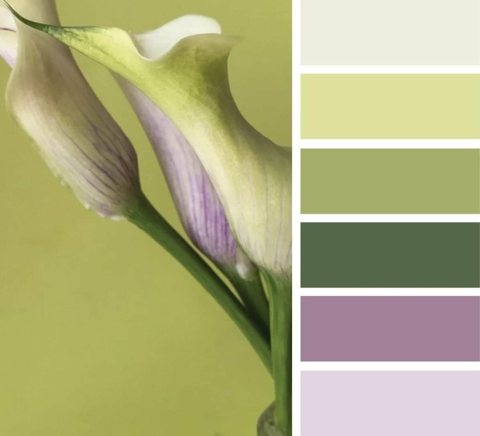 Сочетание цветов оливковый