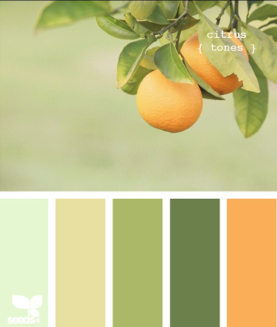 Палитра оттенков фисташковый олива